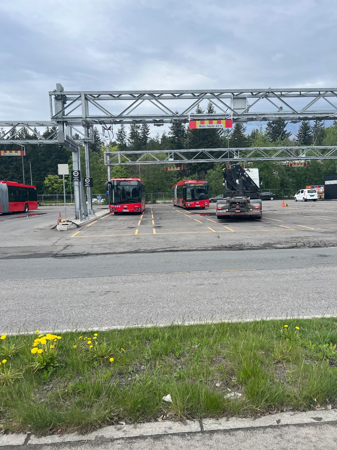 Ici les bus Sont électriques