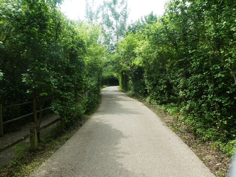 Piste dans la reserve de l'Ile du Beurre