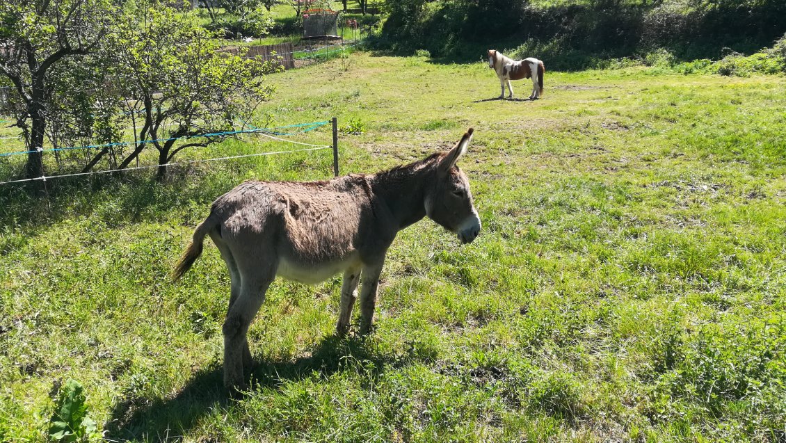 A l'approche de Casteil