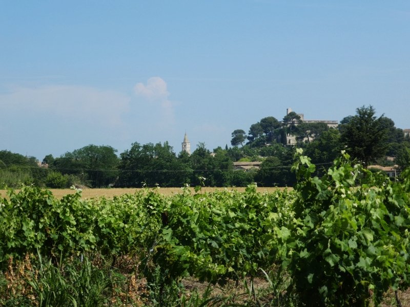 Clocher et château Montfrin