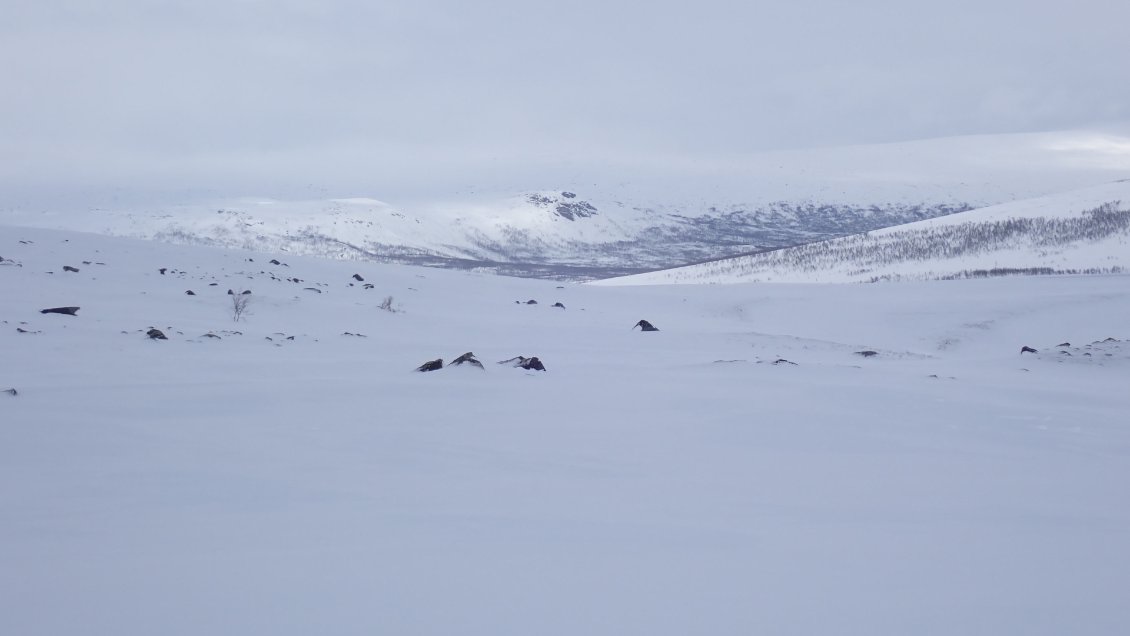 La vallée pour Ritsem