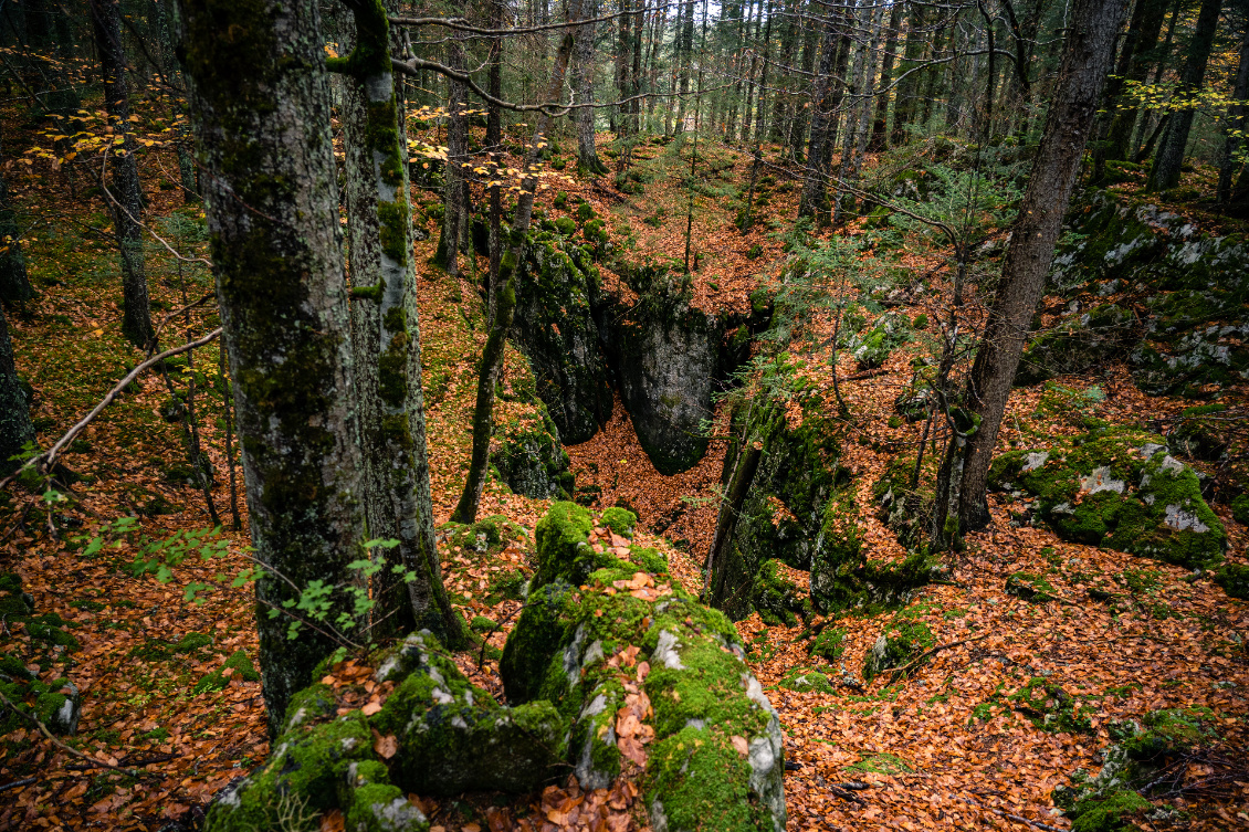 Le terrain calcaire, propice à de nombreuses formations géologiques...