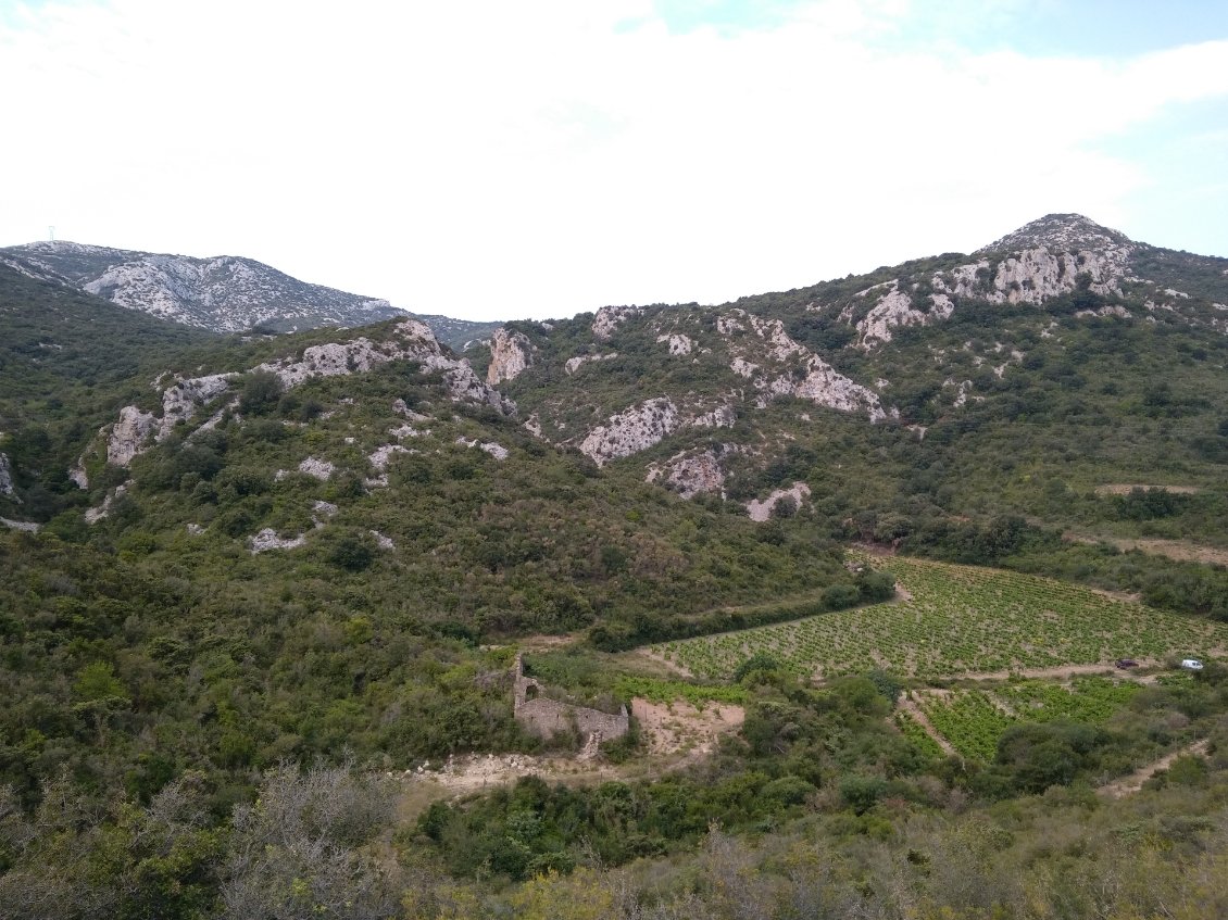 Paysage typique des hauts de Corbiéres