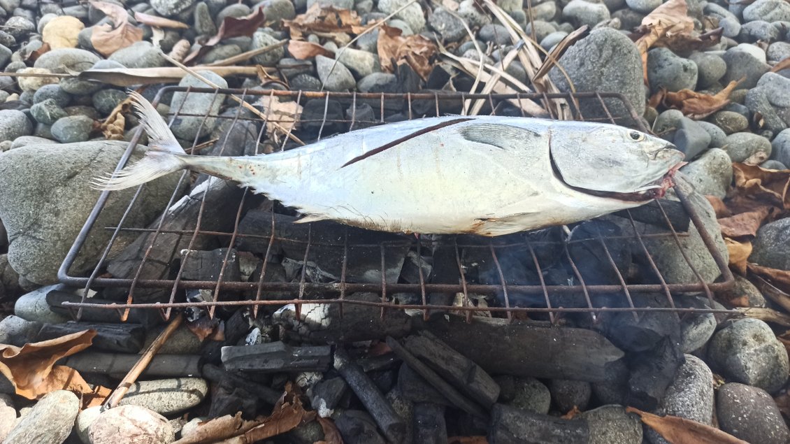 Cette pêche est l'occasion de manger un poisson grillé ultra-frais sur la plage (charbon de bois acheté à un riverain qui a également prêté la grille)