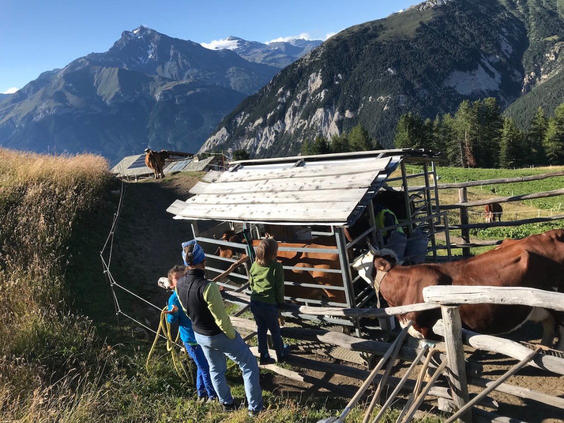 Jour 10 : fin de journée à l'alpage de Montbas