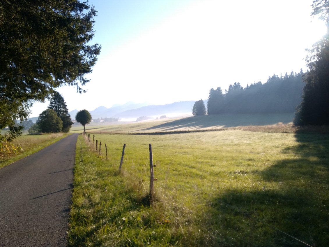 brume matinale sur les paturages suisses
