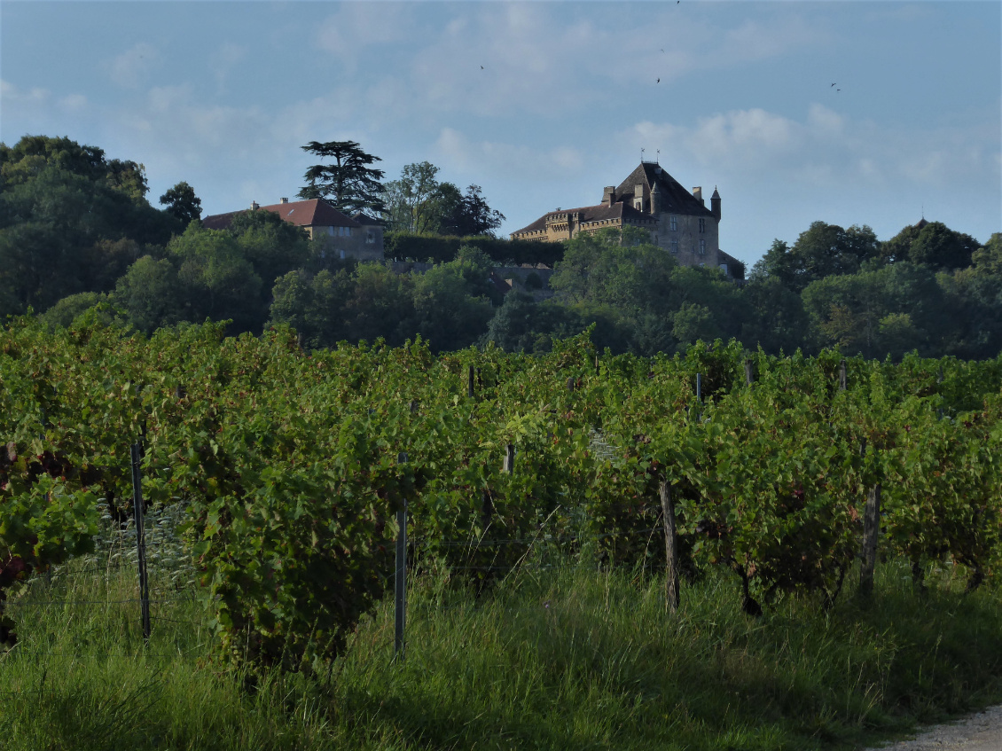 Château vigneron
