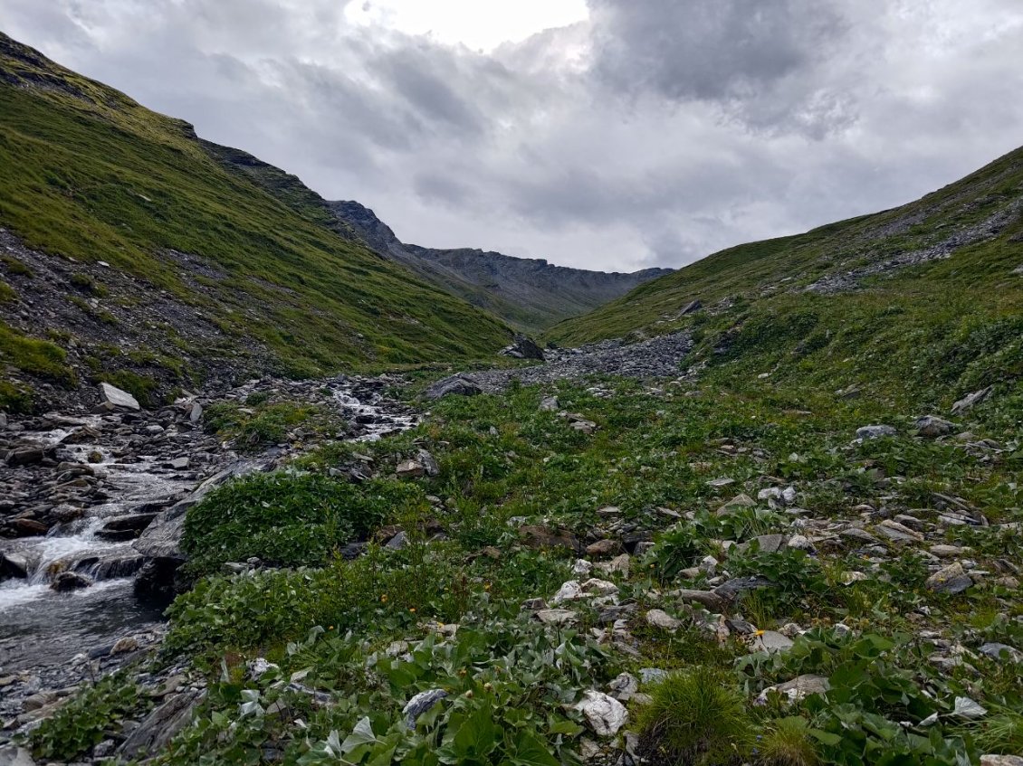 J86 - En direction (portage) du Safierberg.