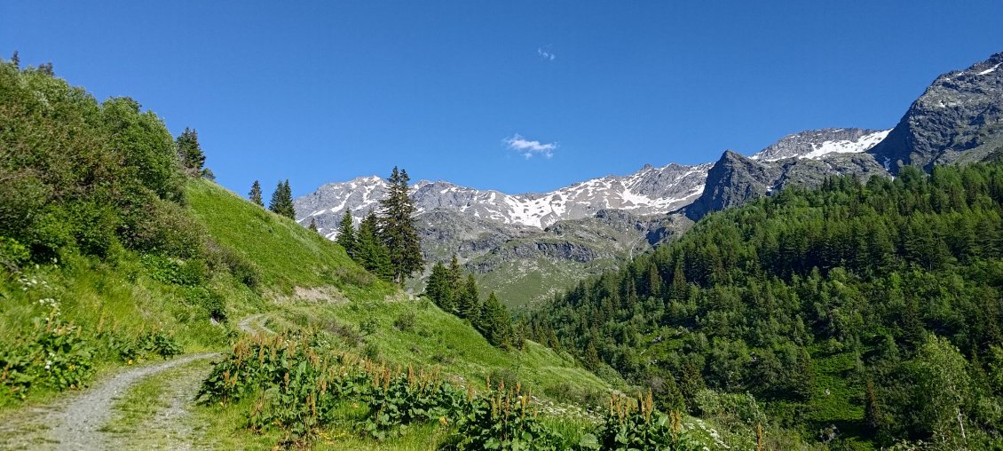 J42 - Piste entre La Savonne et le vallon de Mercuel.