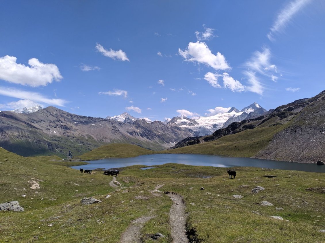 J67 - Belle descente sous le col de Torrent.