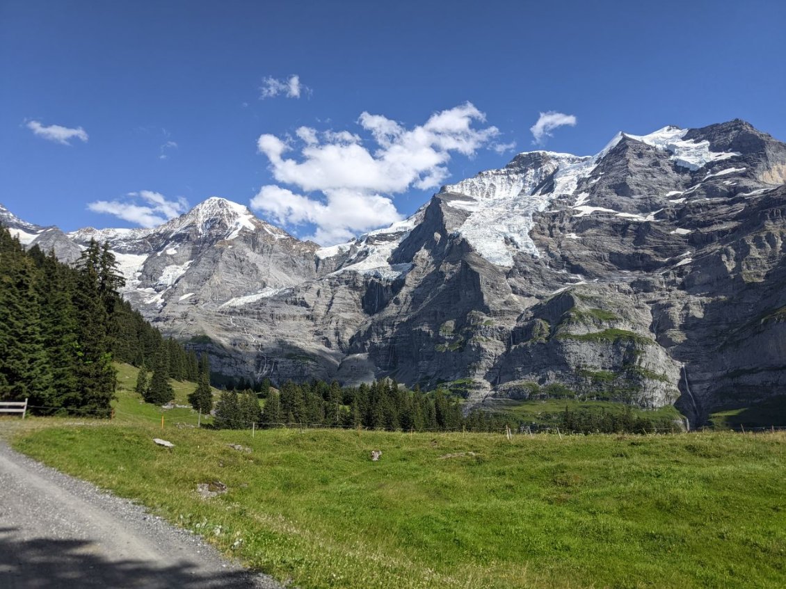 J80 - Dans la montée vers Kleine Scheidegg, vue sur la Jung Frau et le Monsch.