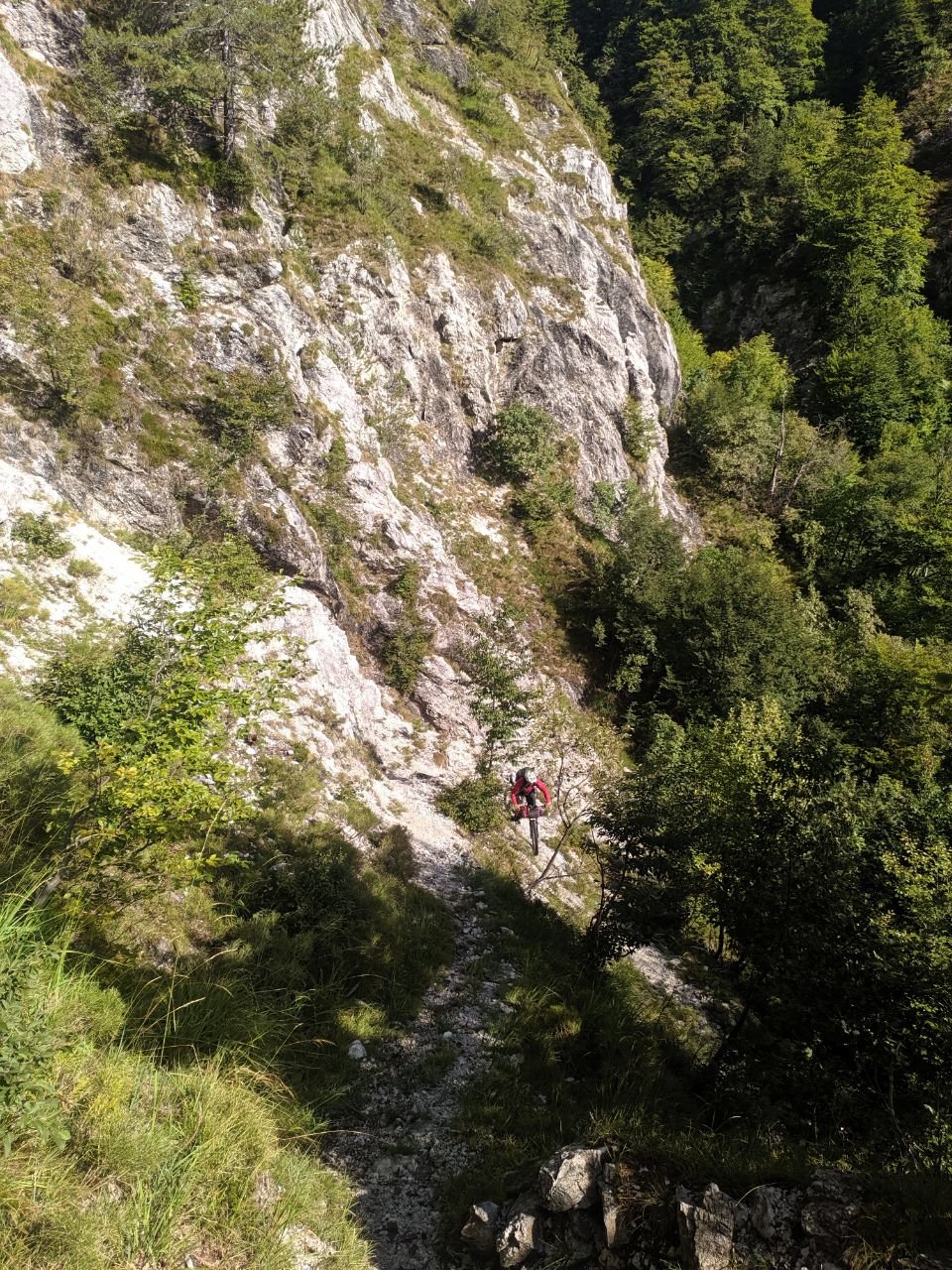 J128 - Descente après le Ricovero Nischiuarch. De nombreux arbres tombés barrent régulièrement le chemin.