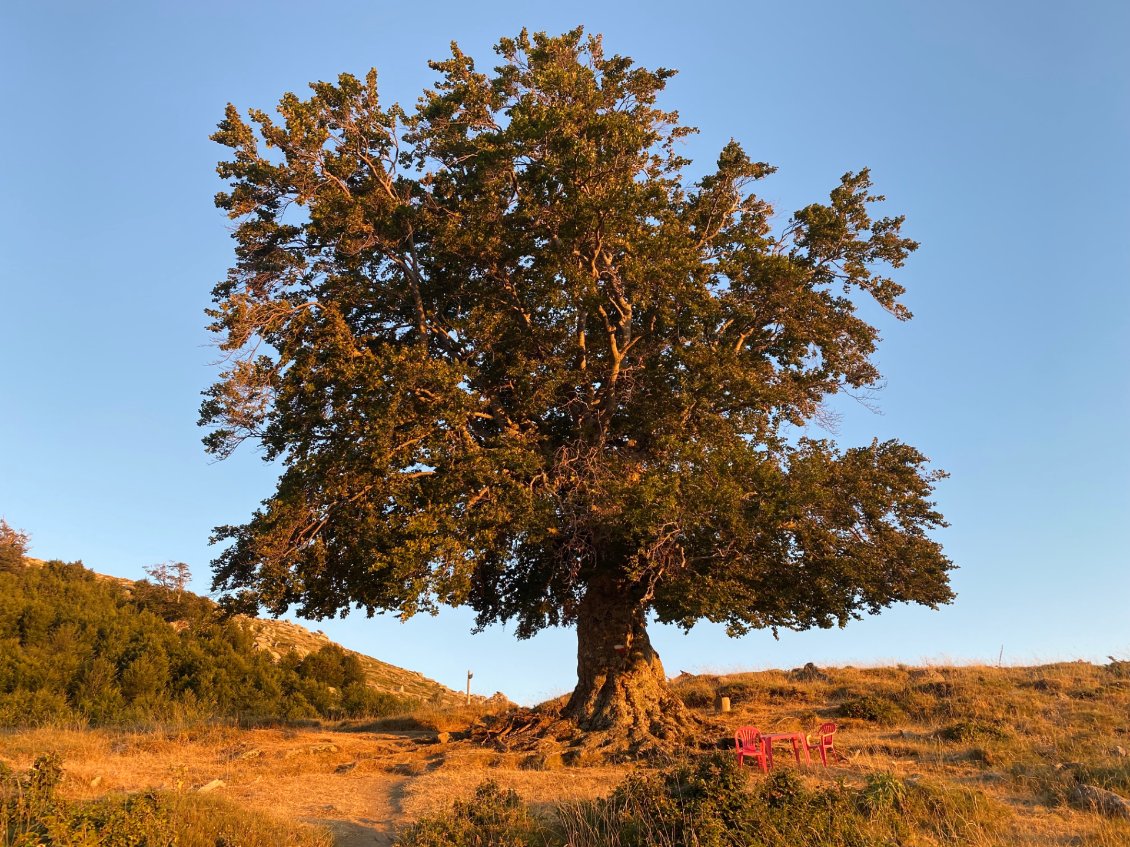 Le gardien d'I Croci.