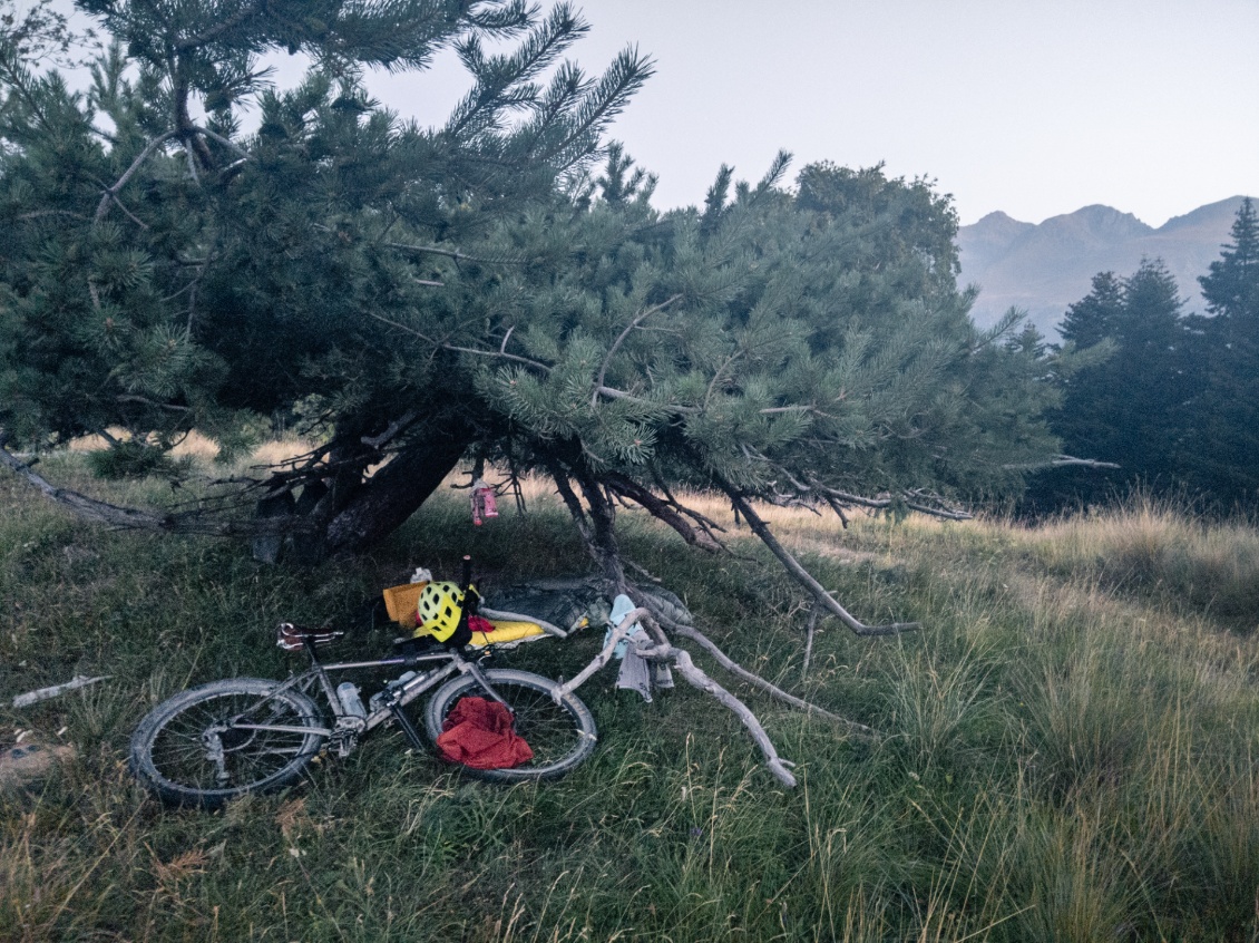 Bivouac sous abri naturel, juste de quoi protéger de la rosée.