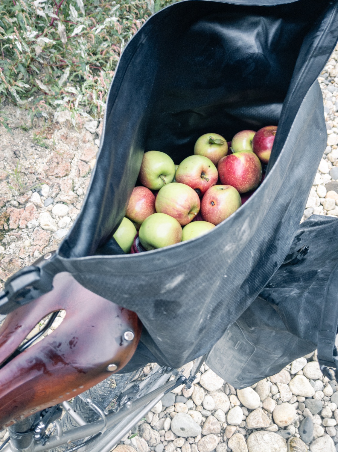 Mangez des pommes.