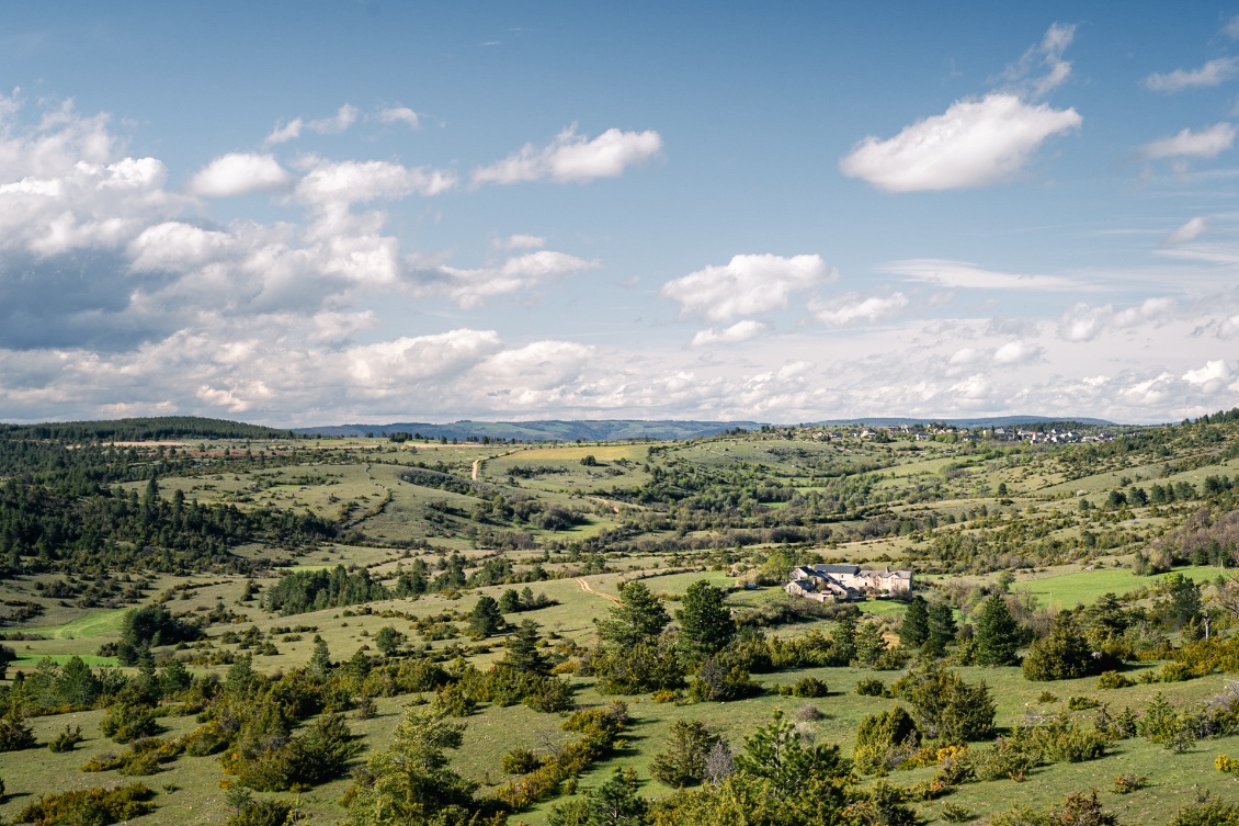 Causse toujours !