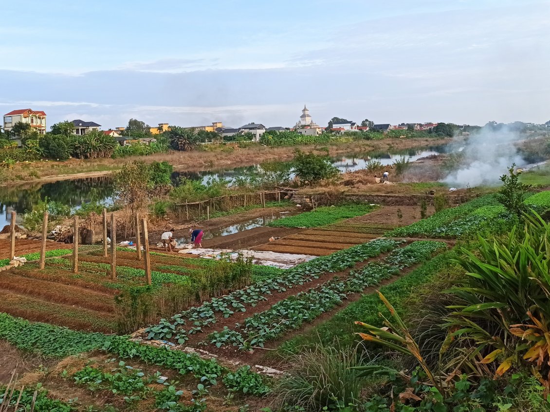 J12. D'un côté du cours d'eau la ville, de l'autre des résidences avec des gens qui travaillent aux plantations.