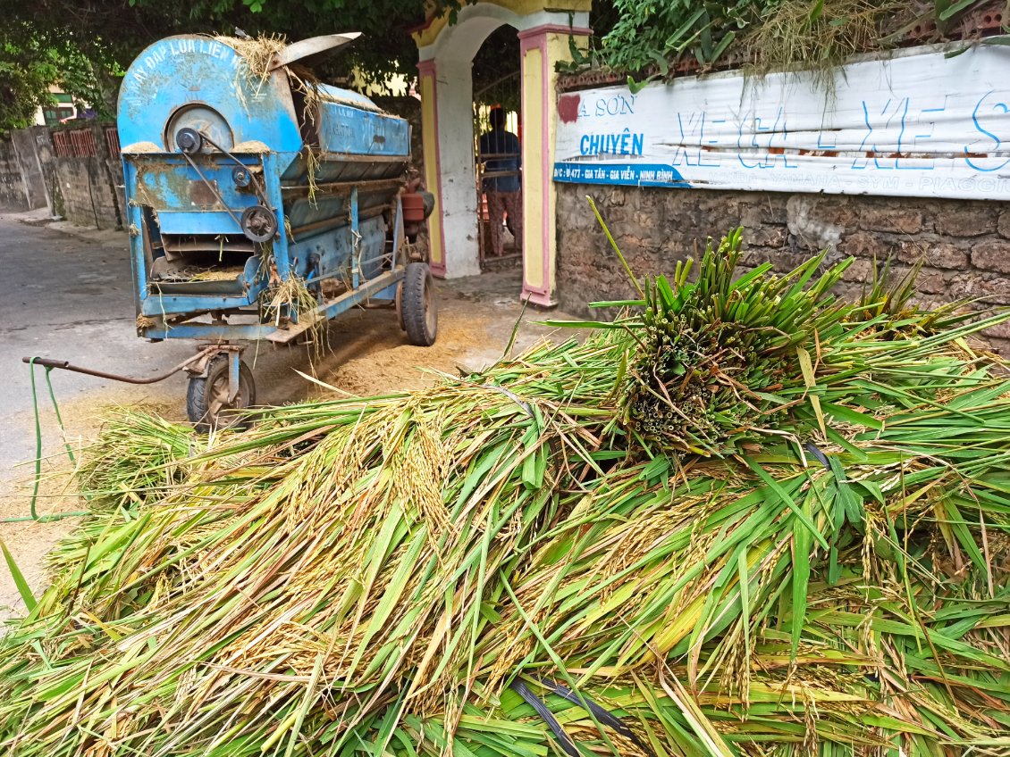 J13. Cette machine sert à décortiquer les grains de riz (étape préliminaire au séchage - photo précédente).