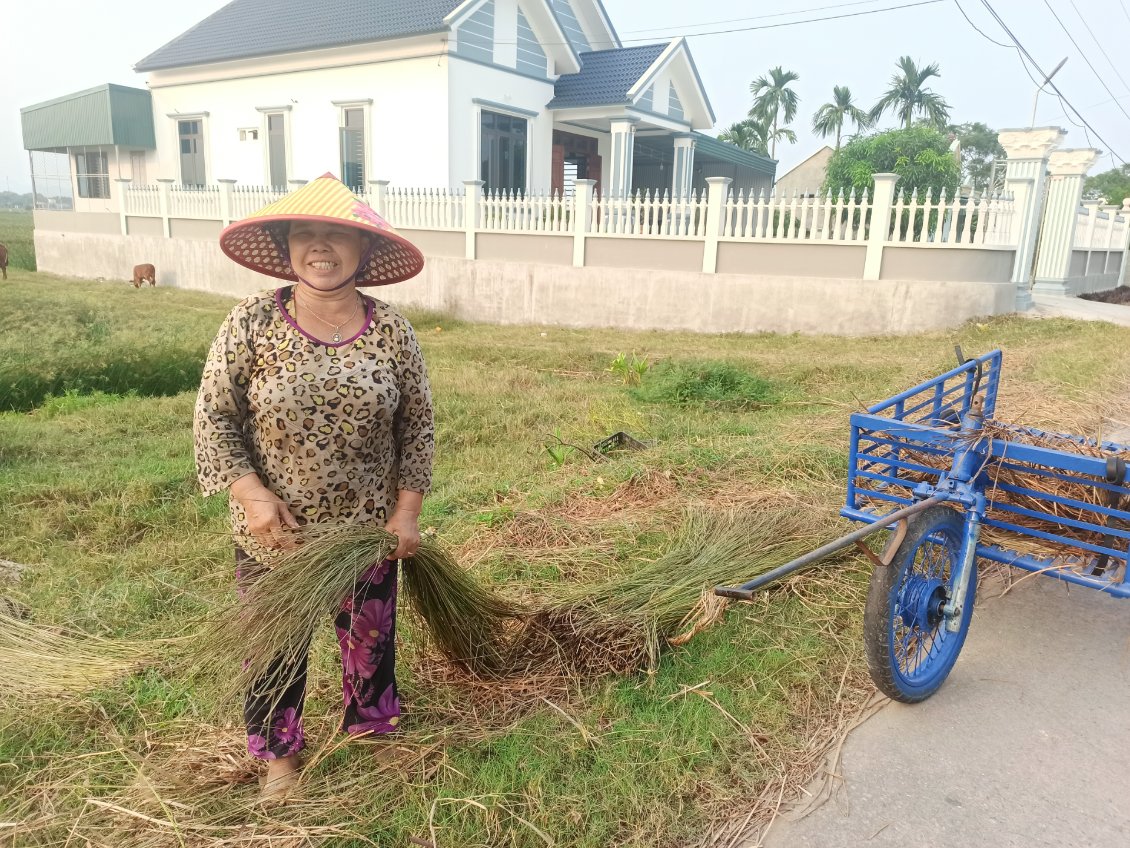 J15. Cette dame m'a expliqué que ces tiges séchées servent à faire des paniers. Je ne suis pas sûr mais il peut s'agir de la plante grasse "Cỏ Bàng".