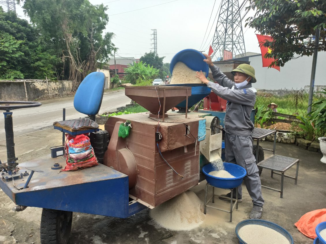 J17. La machine à décortiquer le riz en action. La poudre qui tombe sous le machine sera donnée aux cochons. Les grains de riz sont récupérés dans la bassine bleue.