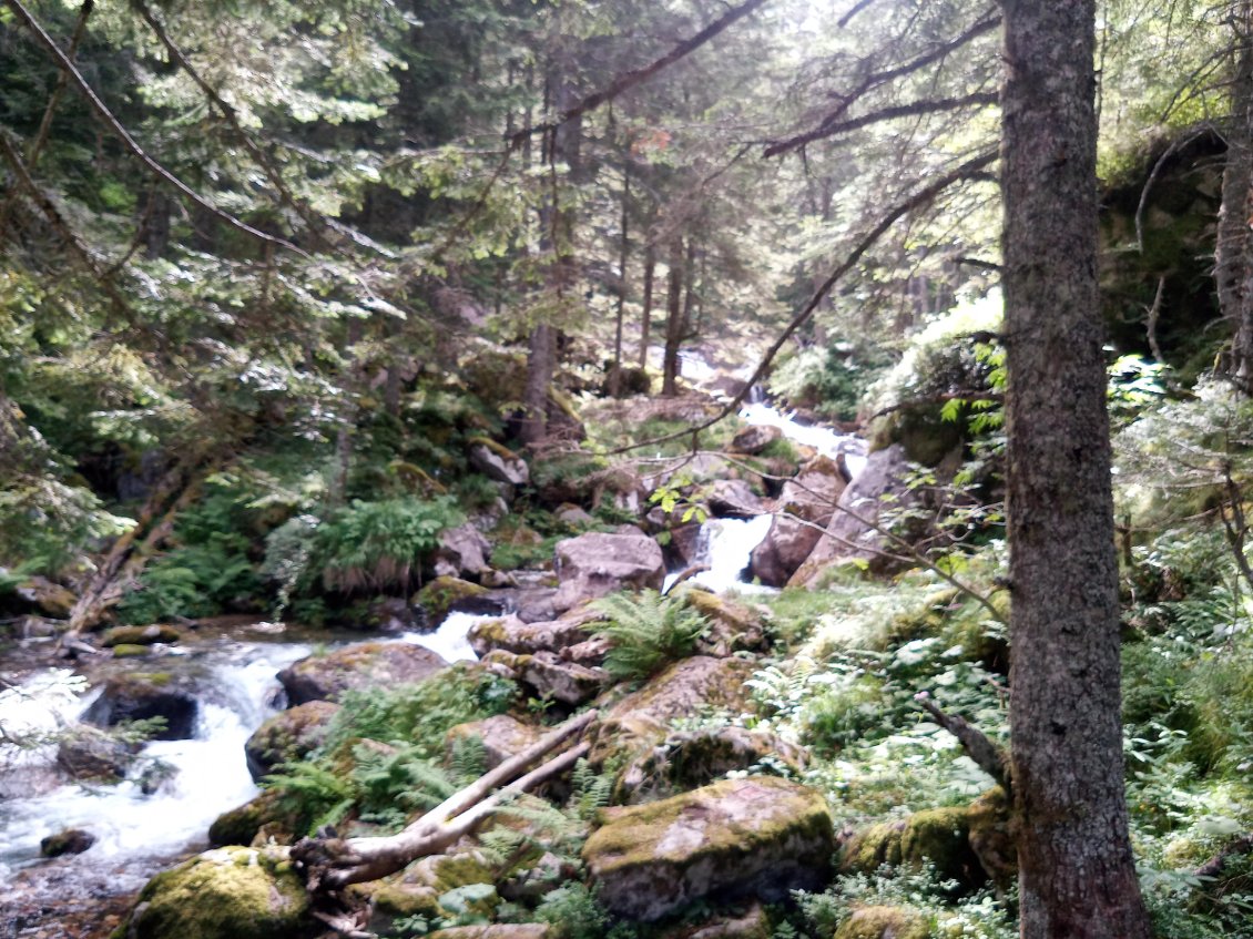 Descente de Larribet 