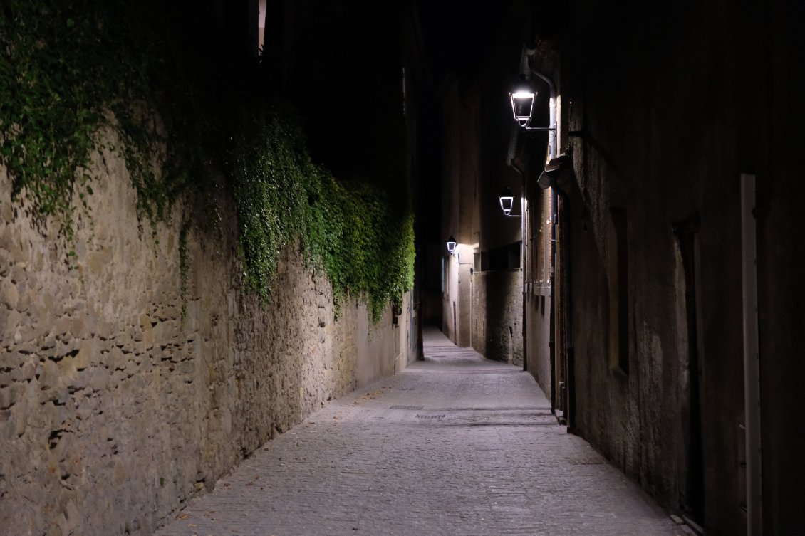 Carcassonne by night