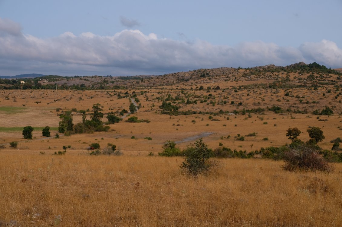 Causse de Blandas