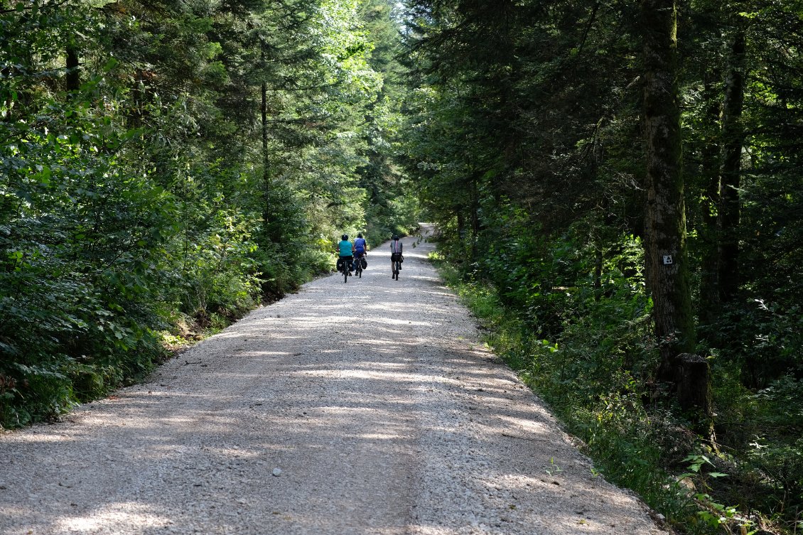 Chemin de grumier, c'est trop facile (et un peu triste)