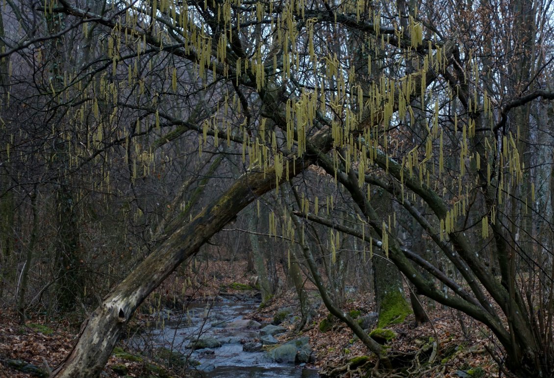 Le printemps semble arriver.