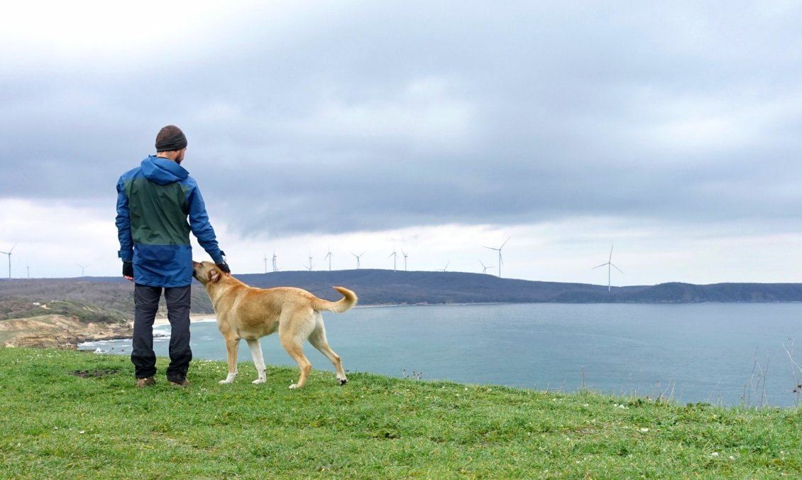 Les chiens errants eux sont gentils. Trop même, ils sont en demande d'interactions et me collent parfois avec insistance. Il m'arrive de marcher pendant des kilomètres avec une dizaine de chiens qui m'adoptent, puis me laissent petit à petit. J'aime bien cette compagnie qui me donne l'impression momentanée d'être un berger.