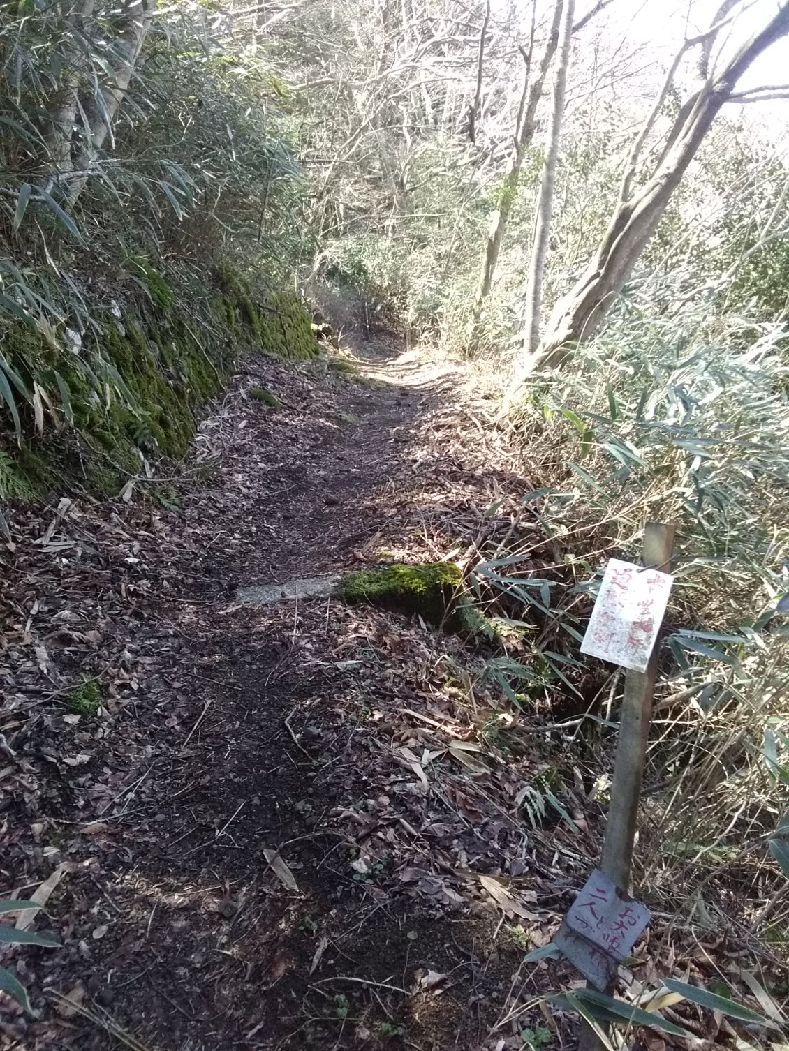 Voilà à quoi ressemblent les chemins quand il n'y a pas de marches.