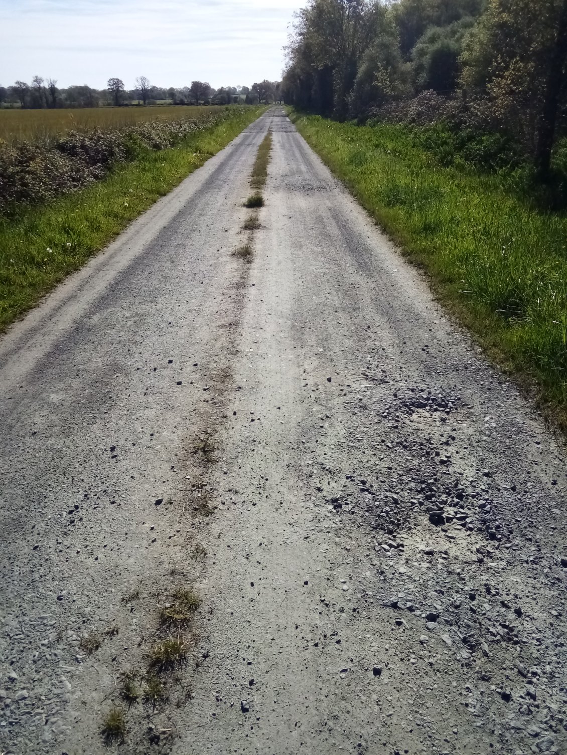 Là encore c'est du roulant. J'ai du pousser le vélo dans du sable.