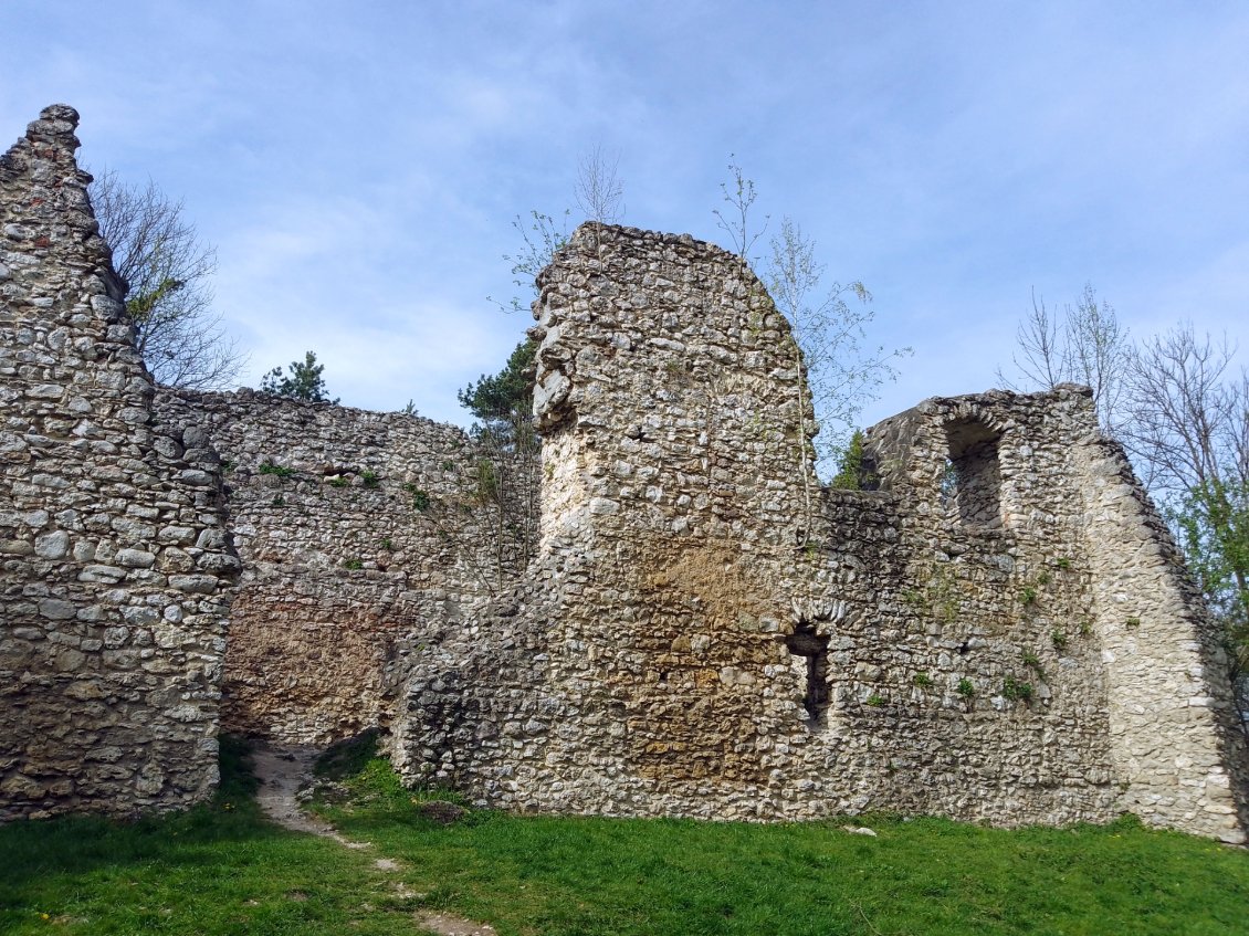 Les ruines du château de Bydlin.