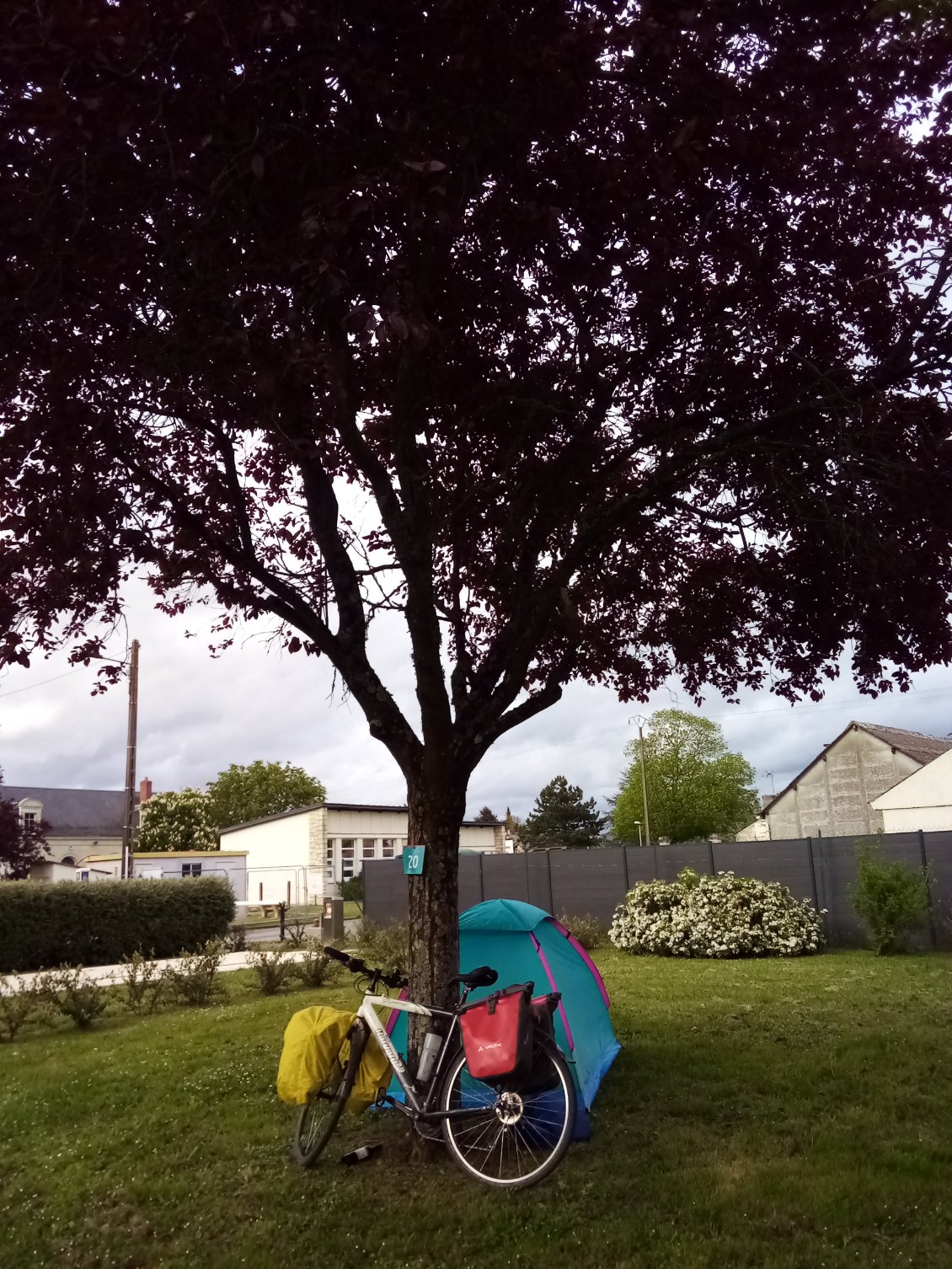 A l'abri sous un arbre, affaires protégées de la pluie.