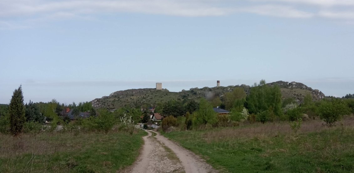 Le château de Olsztyn à l'horizon.