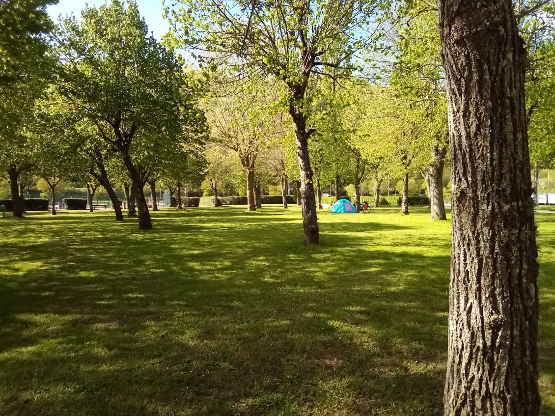 Oulala, comment vais-je faire pour retrouver ma tente au milieu de tous ces troncs ?