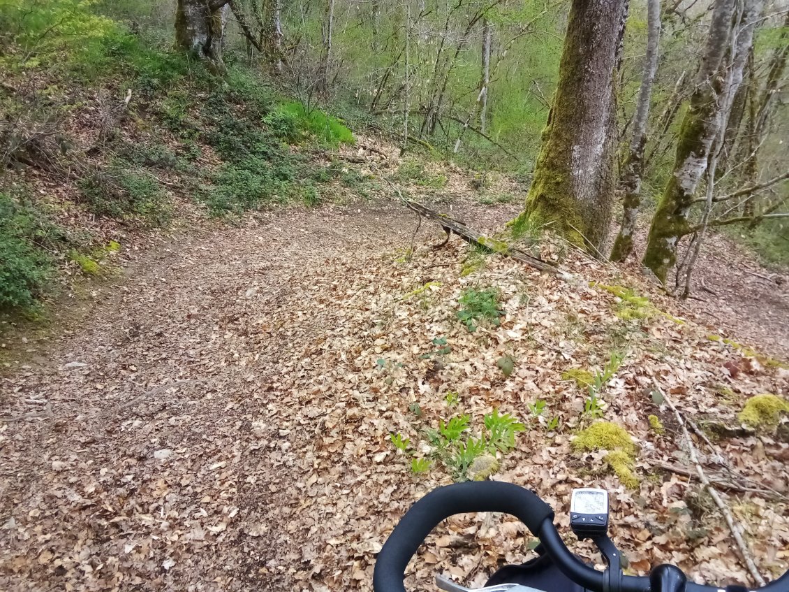 Rholala, le gros virage en descente à pic !