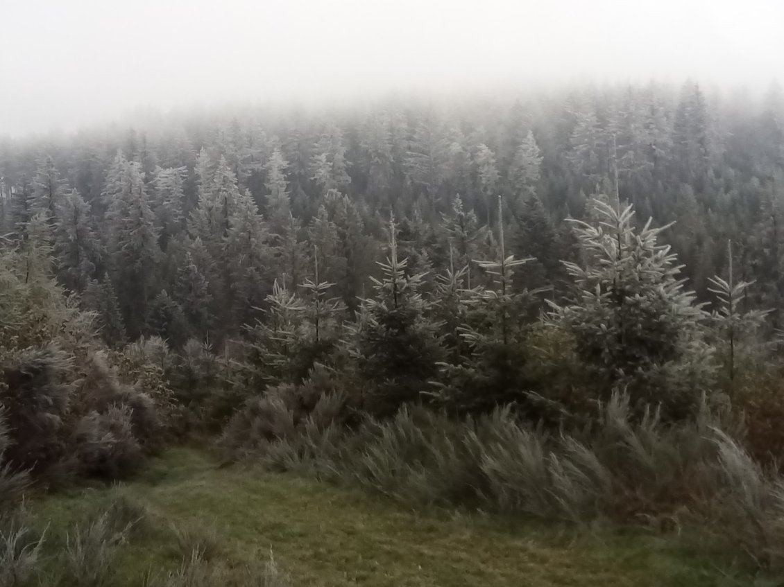 On grimpe pour profiter pleinement de cette belle matinée douce et ensoleillée.