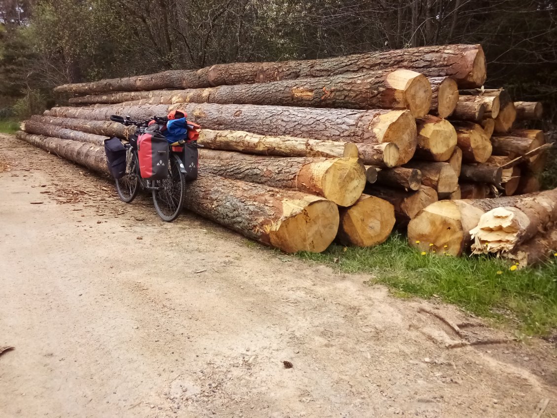 Une autre contre des poteaux en devenir. C'est le pays ici.