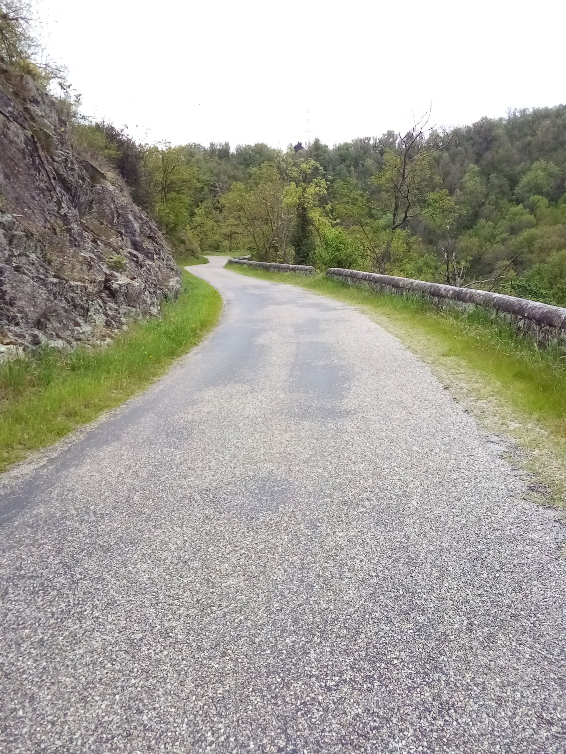 A moi la petite route sinueuse et ses fleurs.