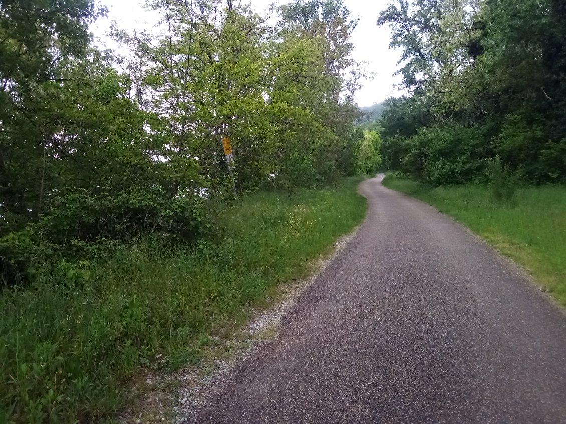 De retour sur la Via Rhôna, le fleuve n'est pas loin.