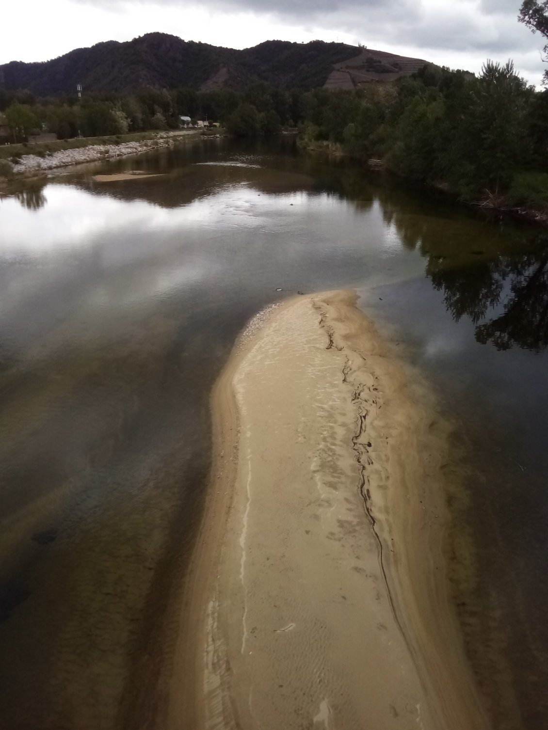 Langue de sable sur le Rhône.