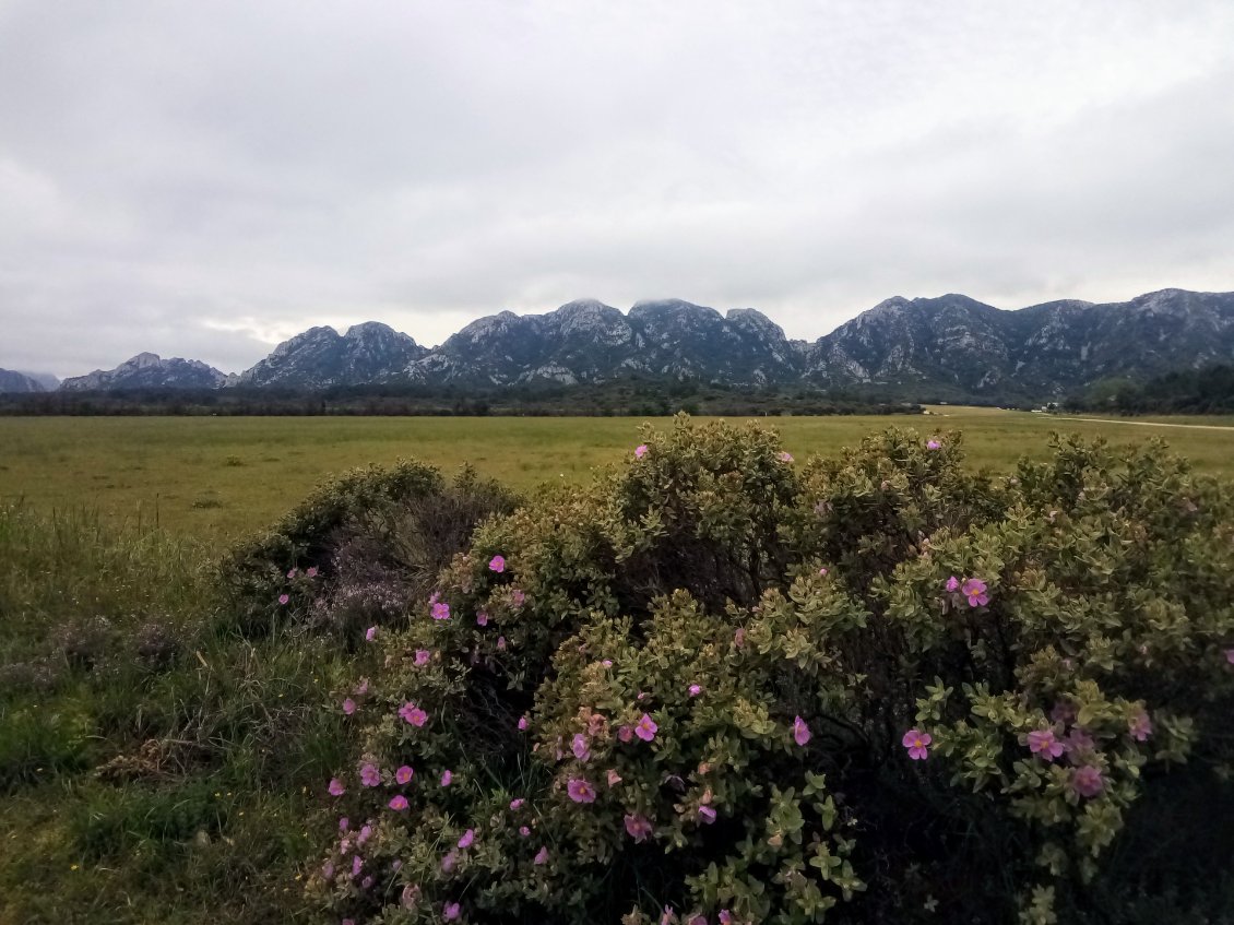 Mais dis donc, c'est moi où c'est de la montagne là-bas ? Non, non, non.