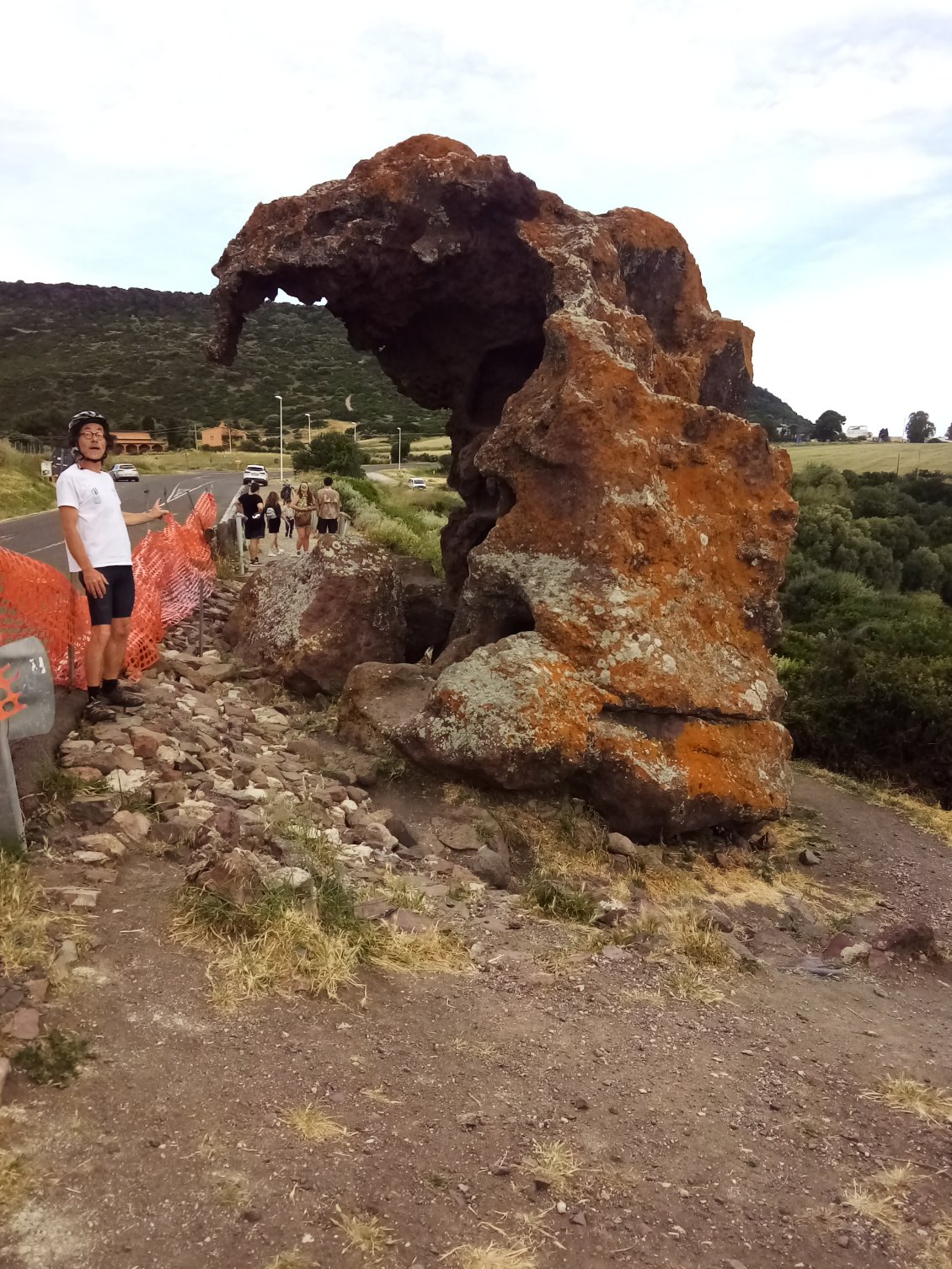 Et oui il existe une espèce d'éléphants endémique de Sardegna.