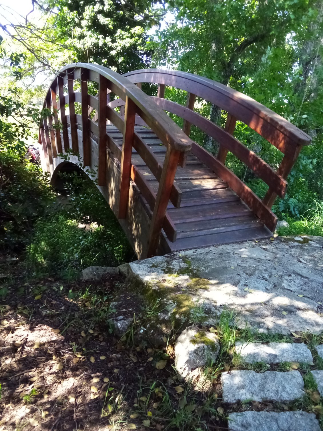 Un petit pas de côté pour aller visiter un site archéologique au hasard, je laisse le vélo là (qu'il est raide ce pont !). Finalement cela semble loin, je rebrousse chemin.