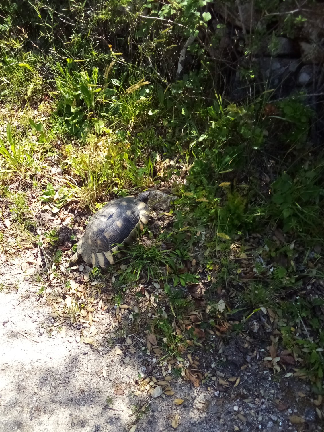 Je me suis fait doubler dans un virage juste après.