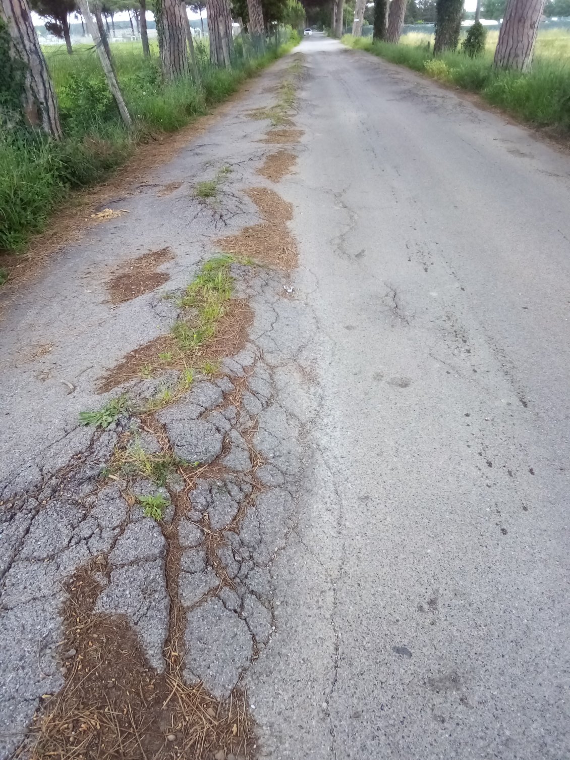 Et bien, ce tronçon rapidement atteint n'a rien à envier à certaines routes sardes ! Je finis par faire demi-tour.