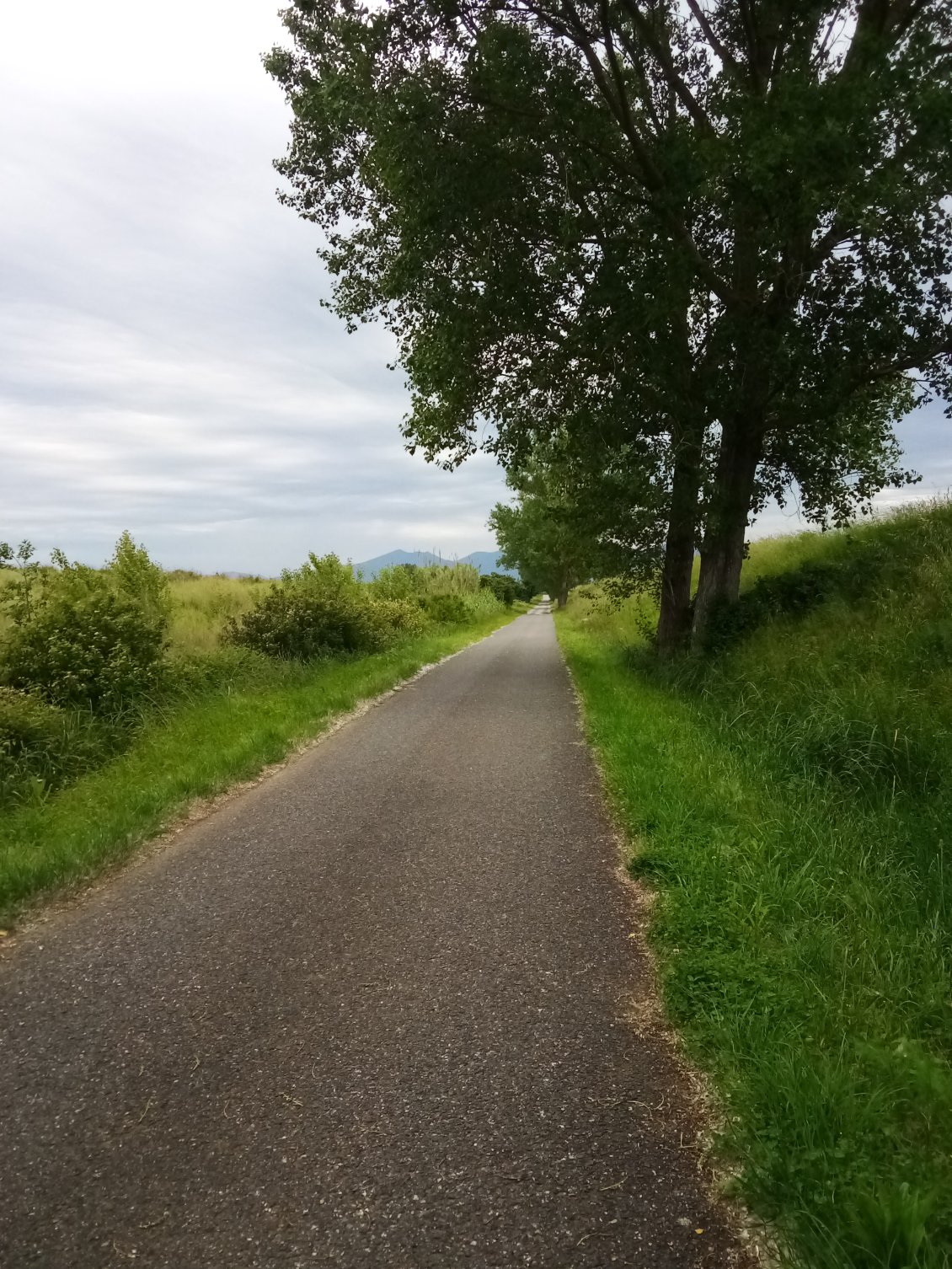 C'est ce qu'on devine au fond, les collines toscanes qui m'attendent ? Ça a l'air sévère...