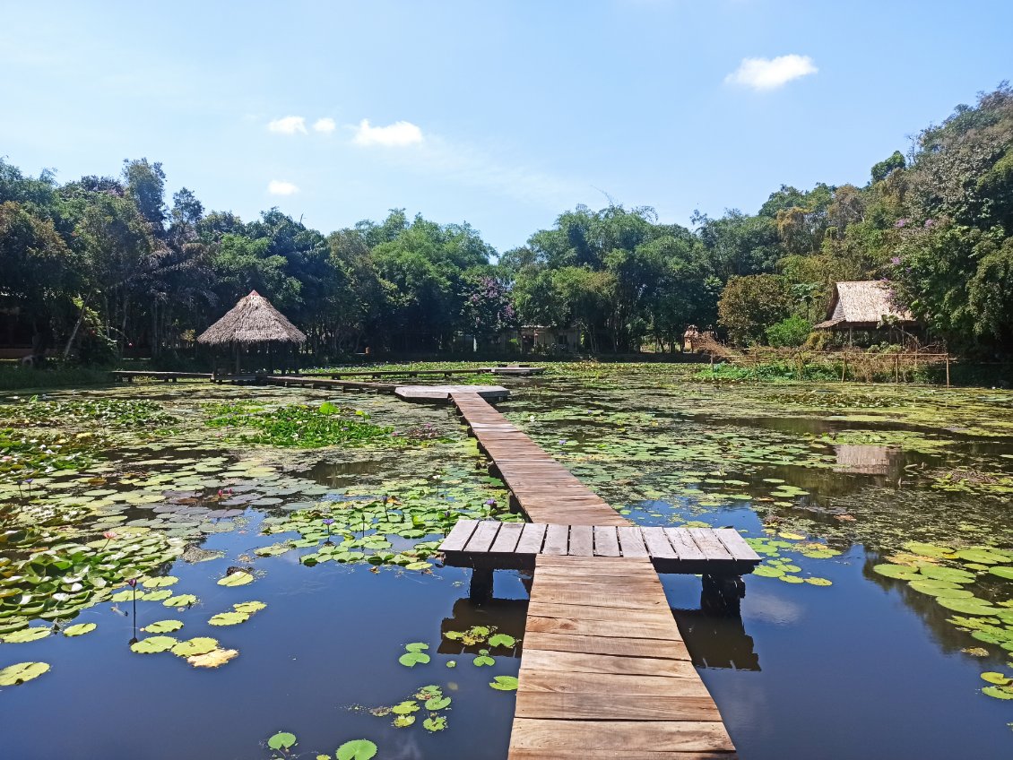 J9. Je visite Xeo Quyt Forest. C'est ici qu'une dizaine de généraux commandaient en secret l'armée vietnamienne, à seulement 2km de la base américaine ! Aujourd'hui la forêt est minuscule, et aménagée.