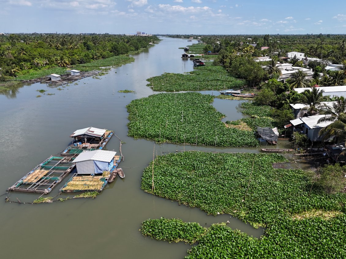 J9. Plus je m'enfonce dans le delta du Mekong et plus l'eau est présente.